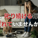 【2025年決定版】犬のしつけ教材おすすめランキング