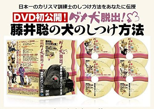 藤井聡のしつけ